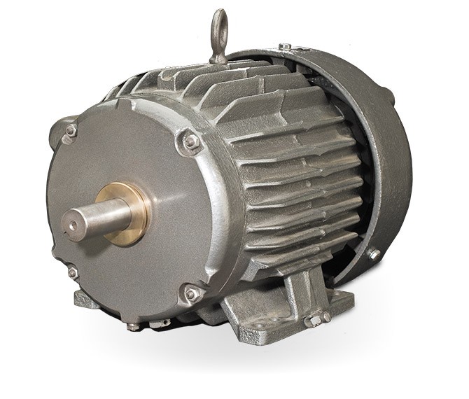 Motor with Inpro/Seal Bearing Isolator